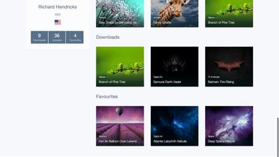 HDwallpapers.net - User's Profile page