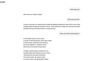 nanochat screenshot 1