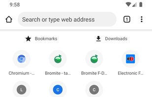 Bromite SystemWebView screenshot 1