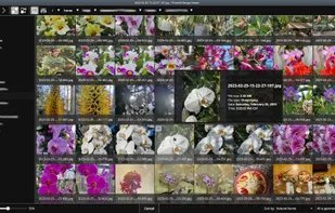 PhotoQt screenshot 2