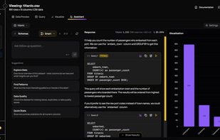 AI Data Assistant (prompt->query->result->visualisation)