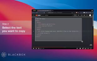 Blackbox - Select. Copy. Paste & Search screenshot 1