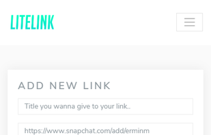 Litelink.at screenshot 1