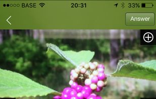 Plantifier screenshot 2