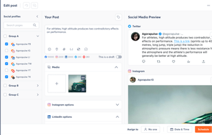 Post publishing allows you to preview your post, as well as schedule and customize it for each platform. 