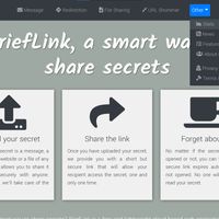 BriefLink has several services for sharing temporary files, text messages or sensitive links.