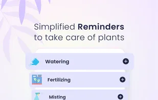 Plantora- Plant Identify, Care screenshot 1