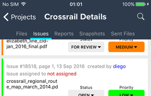 iPhone Project Issues Screen