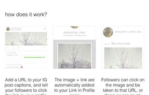 Link in Profile screenshot 1