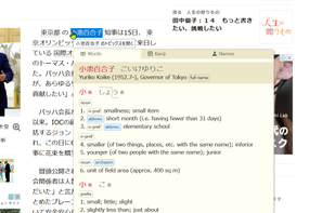 10ten Japanese Reader (Rikaichamp) screenshot 3