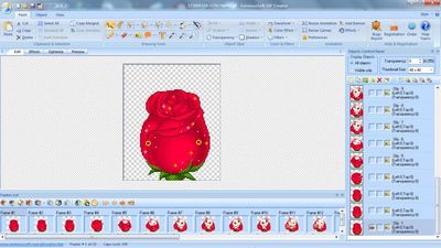 GIF Maker - GIF Editor, Software