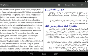 AndBible: Bible Study screenshot 2