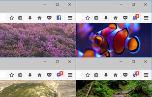 Facebook Status screenshot 1