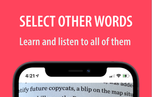 Word Capture screenshot 2