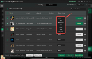 TunesFun Music Converter screenshot 2