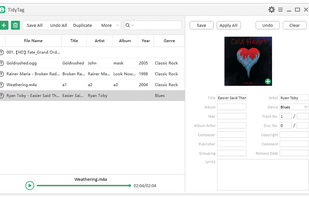 TidyTag Music Tag Editor screenshot 1