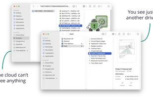 Cryptomator screenshot 1