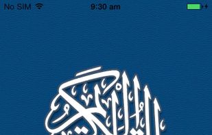 Last Ten Surahs screenshot 1