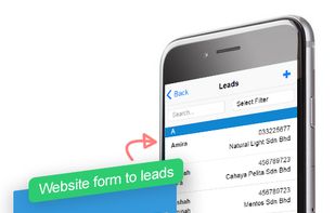 Auto capture lead from various custom landing pages