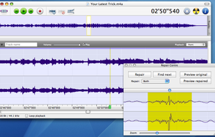 Amadeus Pro screenshot 1