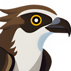 Osprey: Browser Protection icon