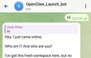 Live Telegram bot — deployed and chatting within seconds. Powered by Claude, GPT, or Gemini.