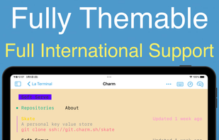 La Terminal screenshot 3