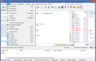 FlylinkDC++ screenshot 2