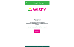 Enter TheWiSpy license key