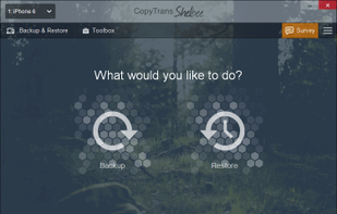 CopyTrans Shelbee screenshot 1