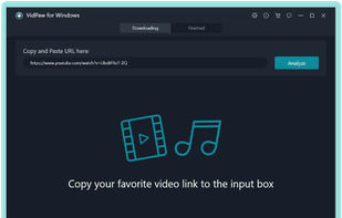 Paste the Video Link