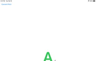 Zen Tuner screenshot 1