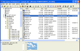 Main Application Window