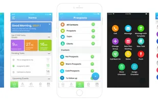 Simple Prospect screenshot 1