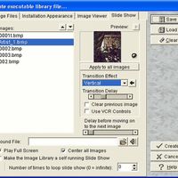 STANDARD - Use the Library Tools to Create Portfolio Programs for Your Artwork, Photo Albums, Slide Show Presentations, Etc.