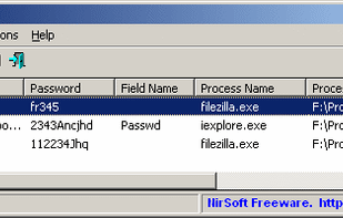 BulletsPassView screenshot 1