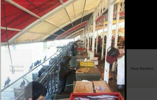 Image browser. Buttons are large and mobile-friendly.