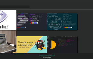 Search result screenshot from the Github page.