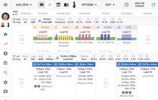 Intervals.icu screenshot 1