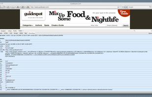 Omnibug screenshot 2