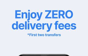 TransferGo screenshot 2