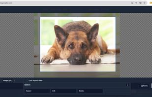 Crop Image Interface-ImgSmaller's advanced cropping tool lets users easily select a specific area of their image before compressing. Features include manual width/height input, aspect ratio lock, rotate, and reset. Designed for precision and ease of use, especially helpful for ID photos and document scans.
