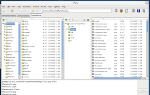 Dual-pane with terminal emulator