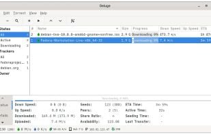 Deluge screenshot 1