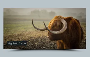 Smart Slider screenshot 1