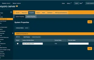 Payara Server Administration Console