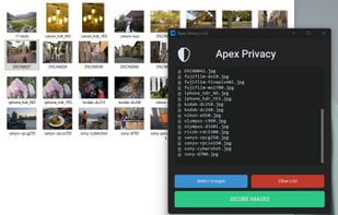 2: Batch Queue Management

Efficient Indexing: Once files are added, the tool performs a rapid scan to index the metadata structure of the entire selection