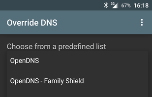 Override DNS screenshot 1