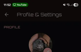 Lifeline: Journey screenshot 1