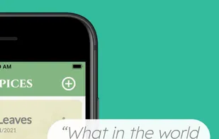 The Spicery screenshot 1